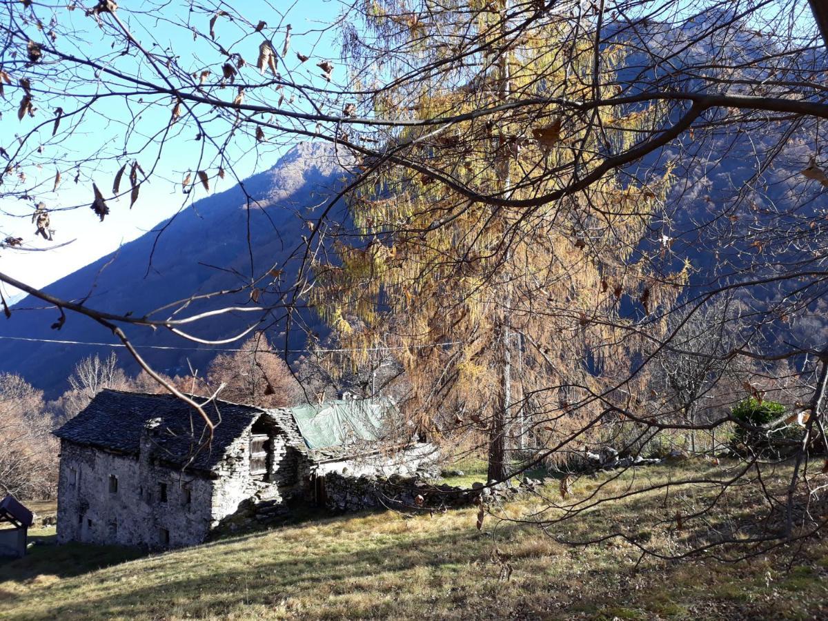 Casa All'Alpe Anzino Экстерьер фото