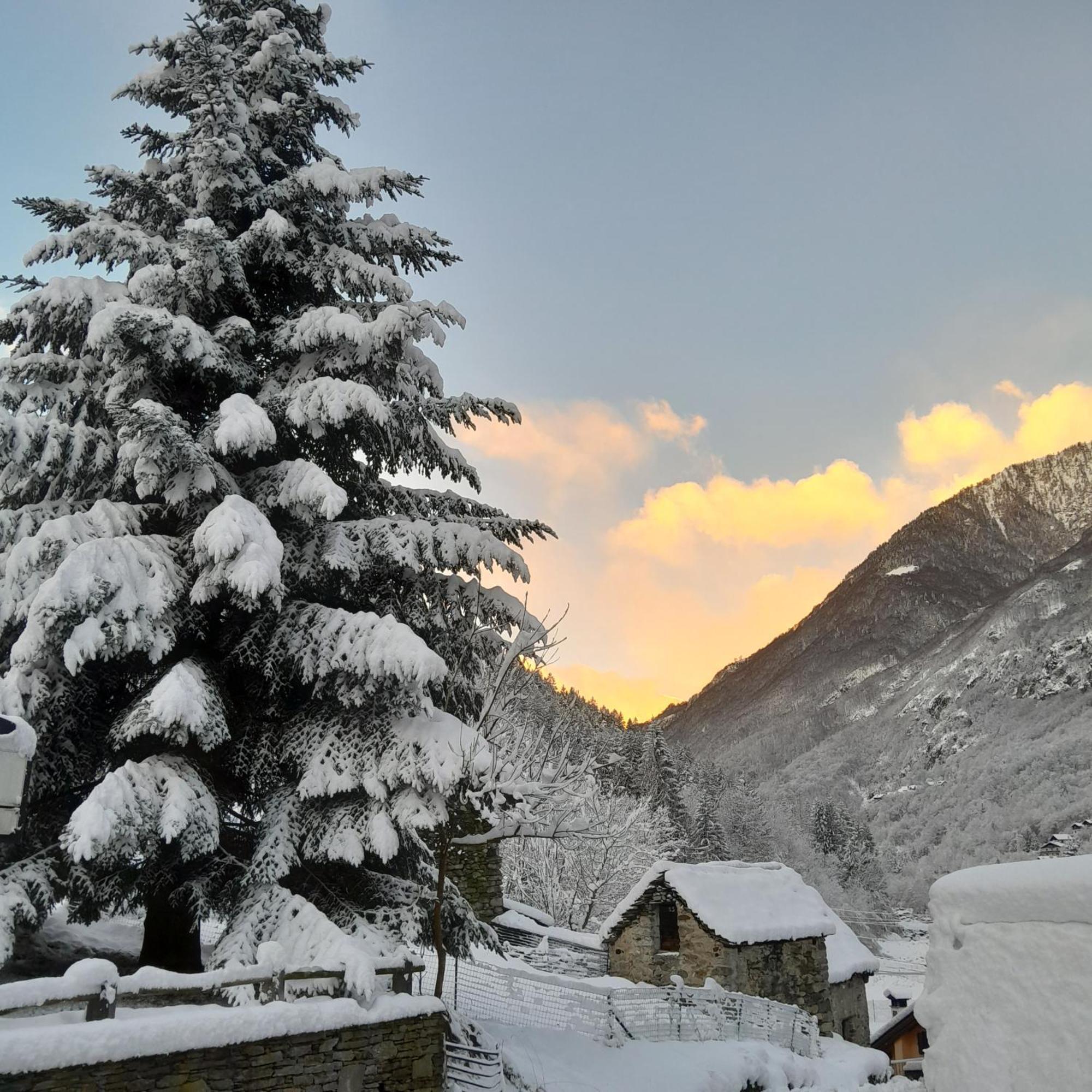 Casa All'Alpe Anzino Экстерьер фото